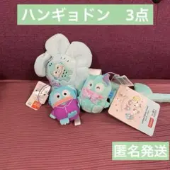 サンリオ　ハンギョドン　ぬいぐるみ　ファンキーフラワー　シェルパール　ジャージ