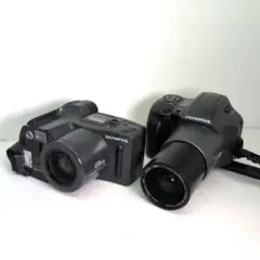 Item thumbnail for item 615ef12f-d7f5-444b-a023-386ef305a3cd