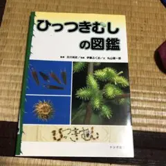 1115 ひっつきむしの図鑑