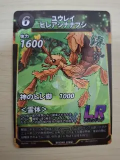 ユウレイヒレアシナナフシ