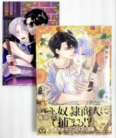 «新品、シュリンク付き» 魔女集会で番いましょう2 藤峰式 とらのあな特典付き