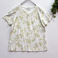【Eddie Bauer】Tシャツ 半袖　ボタニカル柄　Vネック　白　PM