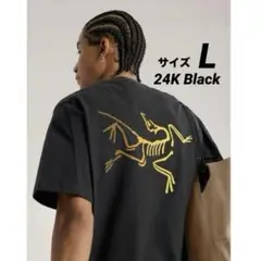 現品モデル アークテリクス クラッグコットン ショートスリーブ 24KBlack