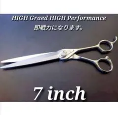 Item thumbnail for item cf600466-de25-4024-8ad5-e3af3fe5bde3