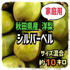 秋田県産 シルバーベル 洋梨 西洋梨 家庭用 約10キロ