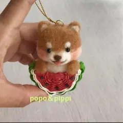 Suica大好きチビ柴くんʕ•ᴥ•ʔ