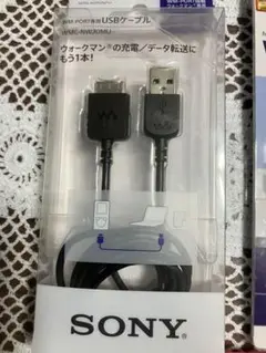 USBケーブル WM-PORT専用