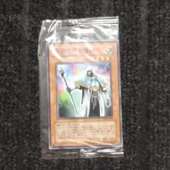 遊戯王 熟練の白魔術師　ノーマル　大会配布