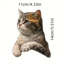 Item thumbnail for item ca3c3c13-3ff5-4ece-9729-60936aa5f693
