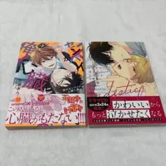 商業BL まとめ売り
