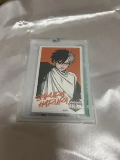 WIND BREAKER展　入場チケット特典　フォト風カード16枚セット