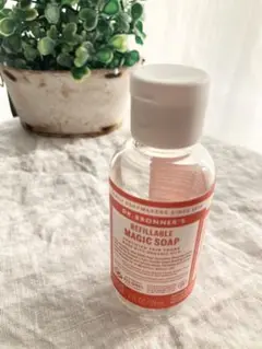 Item thumbnail for item 1321db2b-0791-4ae1-baa7-f3df419f0dbe