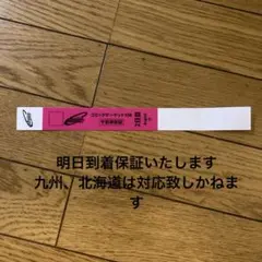コミケ C106 午前入場 リストバンド 2日目