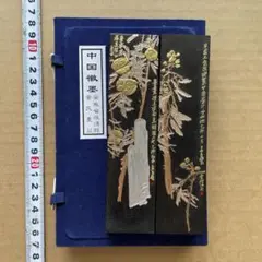 Item thumbnail for item 4812237e-3de9-4437-b4d8-b54db65d2102