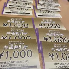 西武ホールディングス 株主ご優待券 12000円分