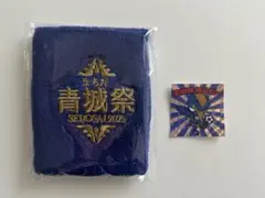 町田ゼルビア　非売品ステッカー＆リストバンドセット