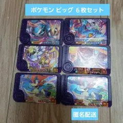 ポケモンフレンダピッグセット 6枚