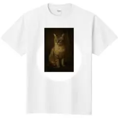 Item thumbnail for item dac82052-36f0-4235-9ff0-fc32f07dc64e