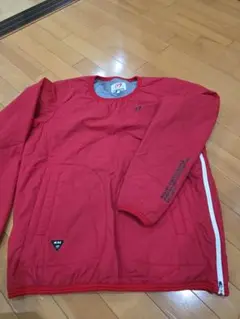 Item thumbnail for item d5c2fa98-f641-4256-8789-493667ee1f63