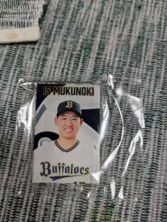オリックス・バファローズ　バファローズガチャ　椋木蓮選手