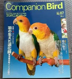 コンパニオンバード no.7 2007