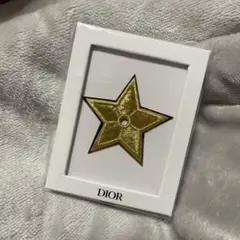 ディオールブローチ