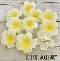プルメリア　ヘアクリップ　Hawaiian 10個 ホワイト　結婚式　ボヘミアン
