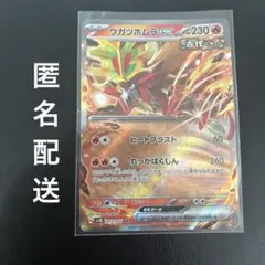 ウガツホムラex RR