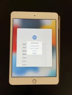 iPad mini4 ゴールド 本体 SIMフリー　16GB