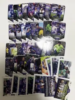 サンフレッチェ広島 レギュラーカード42種、ノベルティカード2種コンプセット