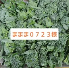 ままま0723様 スティックセニョール頂花蕾コンパクト