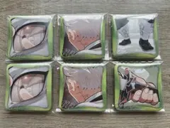 鬼滅の刃 不死川実弥 柱展 マニアック缶バッジ 6点セット まとめ売り