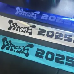 CRFES CRフェス 2025 銀テープ