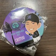 千葉ロッテマリーンズ　茶谷選手