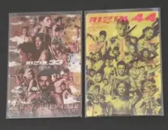 【匿名配送】RIZIN ポテトスティック　カード　２枚セット