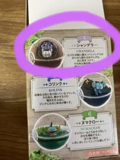 リーメント　ポケモン　テラリウムコレクション　シャンデラ