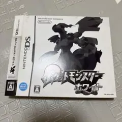 付属品完備　ポケットモンスター ホワイト ニンテンドーDS