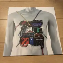 ONE OK ROCK レコード 感情エフェクト