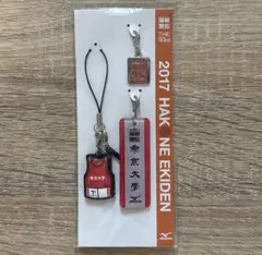 第93回箱根駅伝オフィシャルキーホルダー(帝京大学)