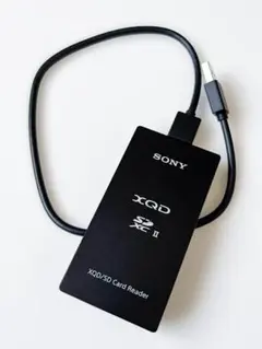 Item thumbnail for item 6fa25d24-a200-4199-a670-90e2d994d5ee