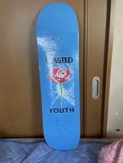 wasted youth デッキ