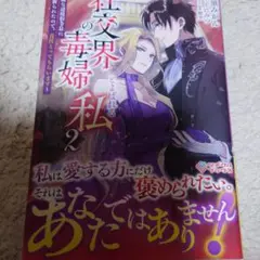 社交界の毒婦とよばれる私2 : ～素敵な辺境伯令息に腕を折られたので、責任とっ…