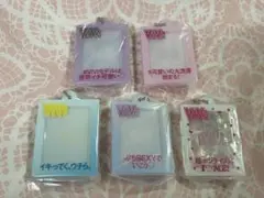 【未使用】ViVi だれでもアクリルチャーム 5種セット