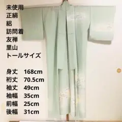 【未使用　トールサイズ】訪問着　絽　友禅　銀彩　里山　裄丈70.5 身丈168