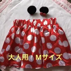 ディズニー ミニースカート・ヘアピン