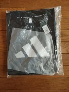 Item thumbnail for item 6f5f11ac-5ba2-44dd-a6b8-376f104ee59b