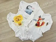 Item thumbnail for item 08c583fe-535e-4e78-8ca1-eb2970ad571f