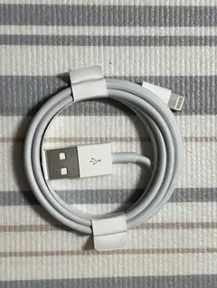 Apple 製 Lightning – USB-A ケーブル　タイプA　（純正）