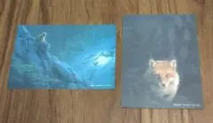 ジョウナイトウ　無垢な瞳　動物画　トラ　版画 ジョウナイトウ作品を卸価格で販売しています！