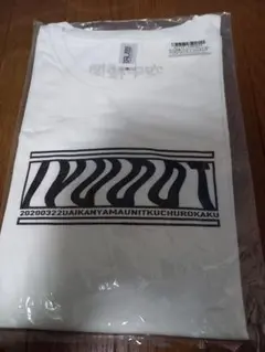 いゔどっと 空中楼閣 ロングTシャツ M